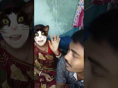 This cat is really alive!????#funny #cats #catvideos #tiktok #social #usafunny #catlovers#funpage#funny