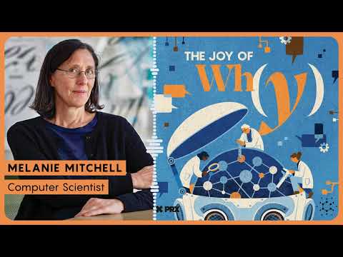 Are We Thinking Correctly About AI Intelligence? | PODCAST: The Joy of Why