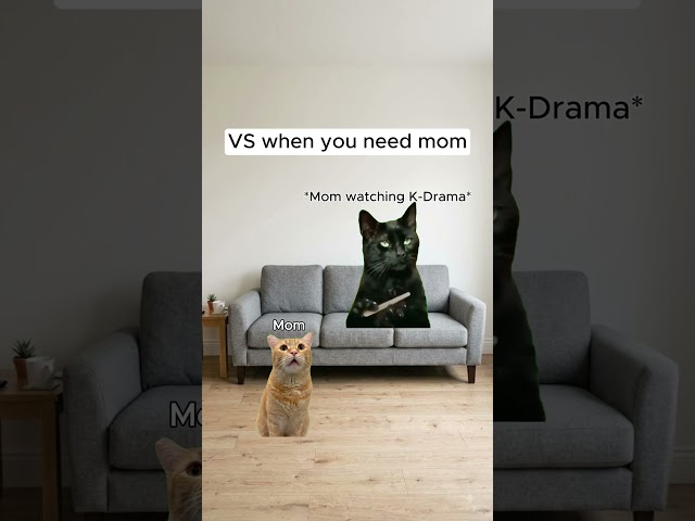 Mom when on K-Drama #catmemes
