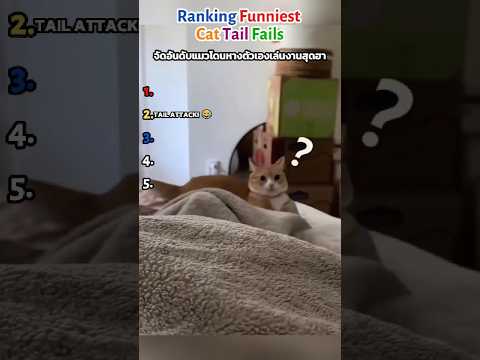 Ranking Funniest Cat Tail Fails #shorts #funnycat #catfails #catvideos #funnyanimals