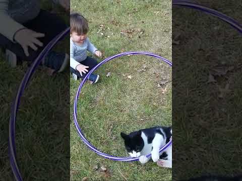 Cutest Cat Baby Reactions Ranked ????#short #cutebaby #funnybabyvideo