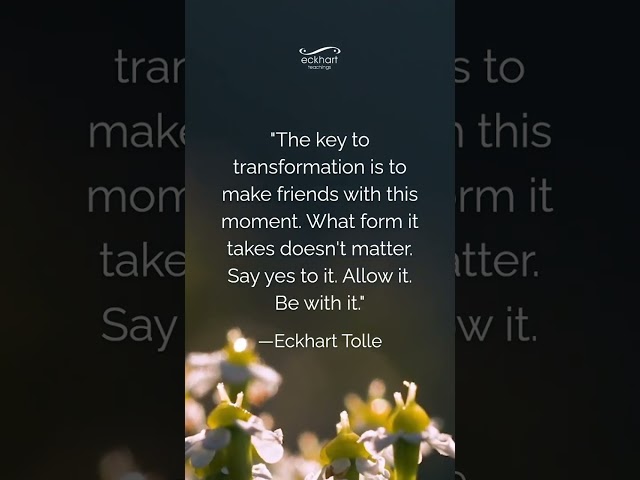 The key to transformation is to make friends with this moment.