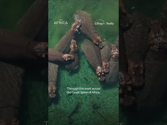 What is the Great Spine of Africa? #AfricaEarthsWildHome