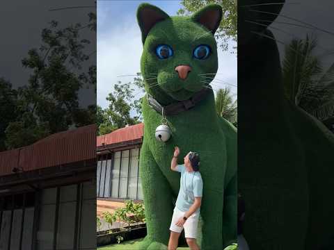 This cat is really alive!????#funny#cats#catvideos#tiktok#social#usafunny#catlovers#funpage