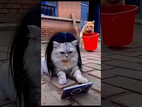 Oh no cat???? #funny #cat #catvideos #trending #youtubeshorts #shorts #shortvideo #comedy #viral