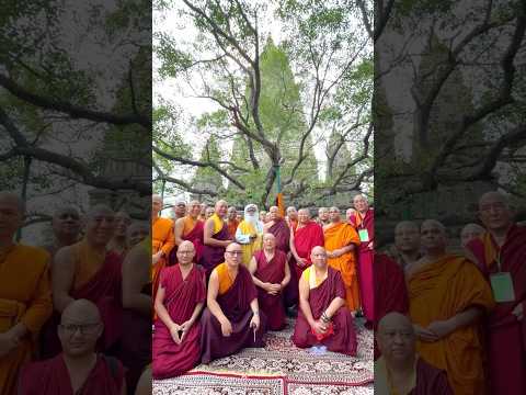 At Bodh Gaya’s Mahabodhi Mahavihara where Gautama Buddha Attained Enlightenment | Sadhguru