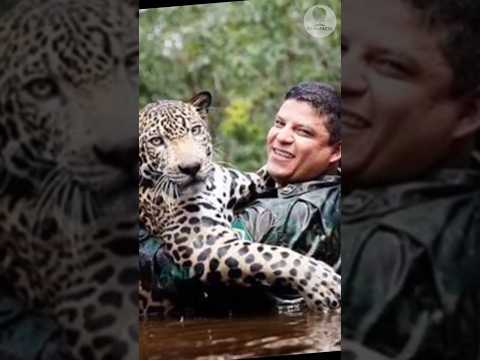 People saved the jaguar