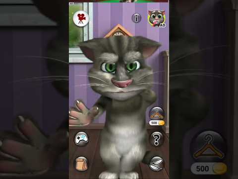 Funny Cat Videos ???? #funny #cat #funnycats