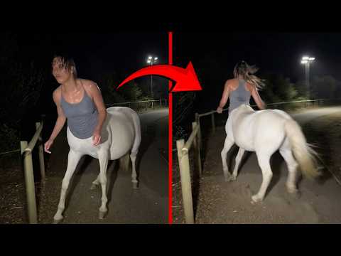 Real Encounters With Mythical Creatures You Won't Believe Existed!