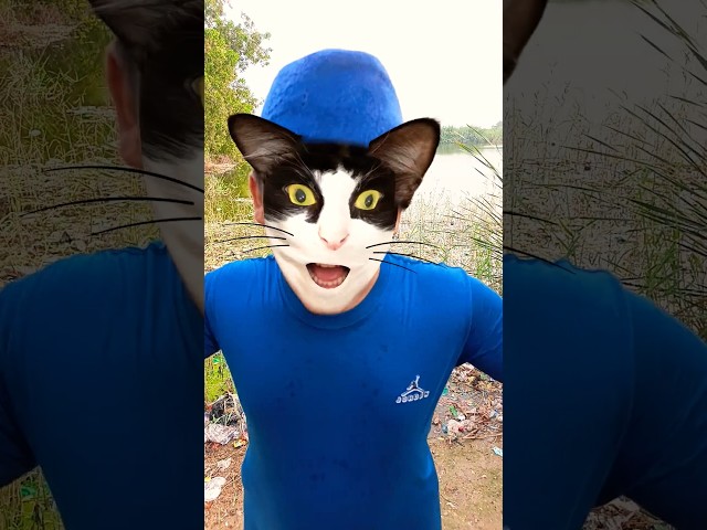 This cat is really alive! ???? #funny #cats #catvideos #tiktok  #social #usafunny #catlovers #funpage