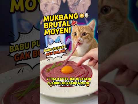 brutal makan moyen #anakkucing #kucing #kucinglucu