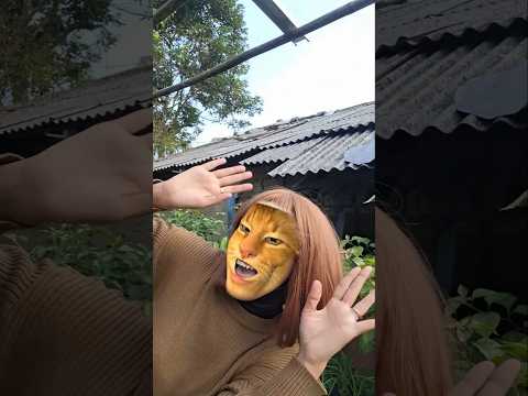 This cat is really alive! ???? #funny #cats #catvideos #tiktok #social #usafunny #catlovers #funpage