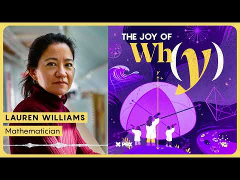 Why Does the Positive Grassmannian Show Up Everywhere?  | PODCAST: The Joy of Why