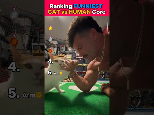 DON’T CHECK THIS SOUND????????￼#ranking #funny #cat #cats #catshorts #kitten #human #funnycats #usa