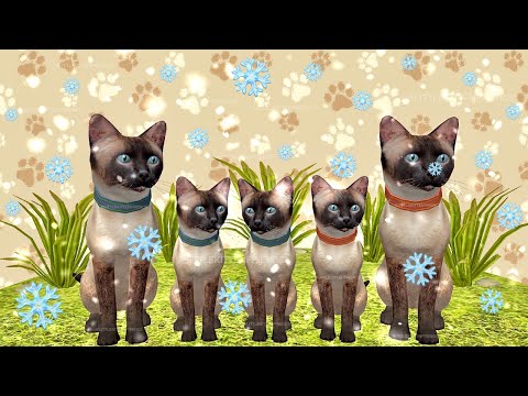 FUNNY CATS FAMILY ADVENTURES LITTLE KITTEN SIMULATOR - CUTE KITTY VIDEOS  
