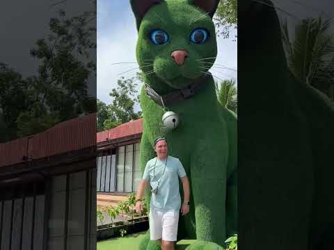 This cat is really alive!????#funny#cats#catvideos#tiktok#social#usafunny#catlovers#funpage