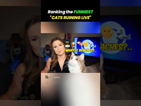 Ranking the Funniest "Cats Ruining Live" Moments! ???? ???? #cats #funny #catsoftiktok #catslove  #pets