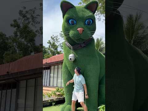 This cat is really alive! #funny #cats #catvideos #tiktok #social #usafunny
