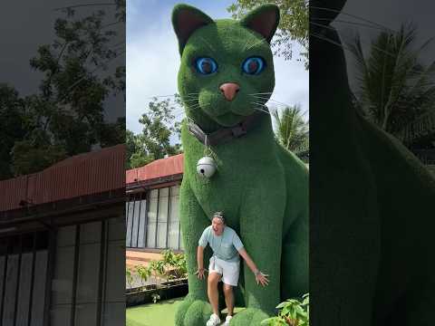 This cat is really alive! ???? #funny #cats #catvideos #tiktok  #social #usafunny #catlovers #funpage