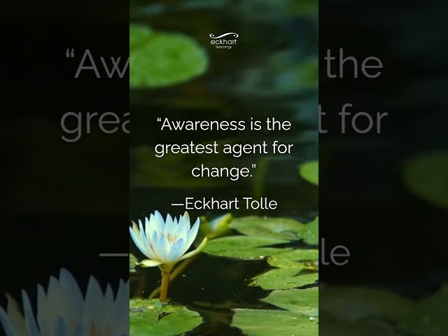 “Awareness is the greatest agent for change.” —Eckhart Tolle