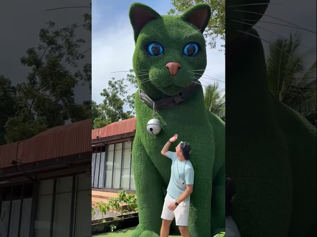 This cat is really alive! ???? #funny #cats #catvideos #tiktok  #social #usafunny #catlovers #funpage