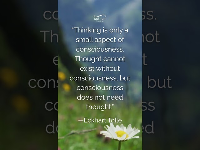 “Thinking is only a small aspect of consciousness. Thought cannot exist without consciousness...