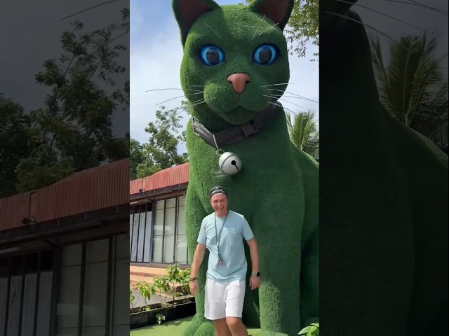 This cat is really alive! ???? #funny #cats #catvideos #tiktok  #social #usafunny #catlovers #funpage