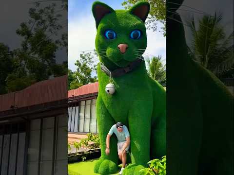 This cat is really alive!#funny#cats #catvideos #tiktok#social#usafunny #catlovers #funpage