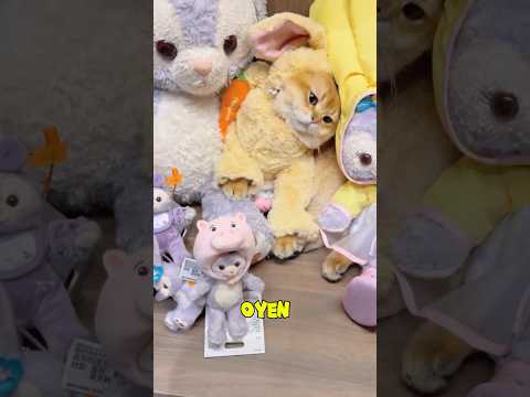 Model Paling Gemoy, Tapi Baterainya Cepat Habis #kucinglucu #cat #funnycat #lucu #cats #catvideos
