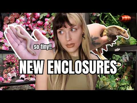 NEW ENCLOSURES HAVE ARRIVED! | Living With Over 25 Animals