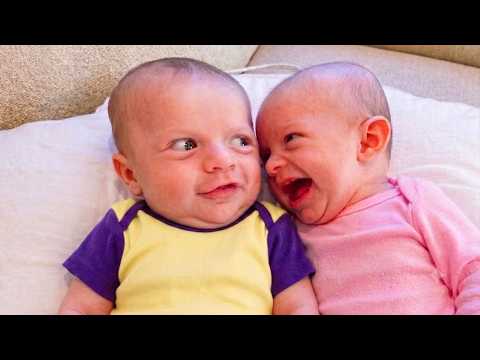 Try Not To Laugh at This Baby’s Reaction | Funniest Baby Caught On Camera | Funny babies and pets
