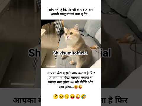 #सोच रही हूं कि ???????????????? #funny #catvideos #shortvideos