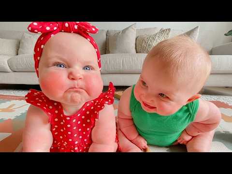 Hilarious Baby Reactions That'll Make You Laugh#2 Try Not To Laugh Challenge | Funny babies and pets