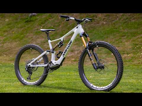 Amflow PX Dream Build