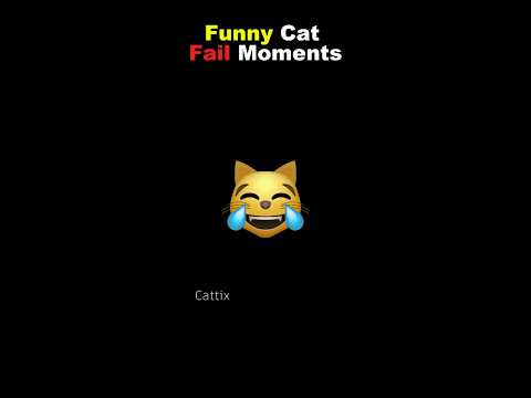 Funny cat videos ‎#Shorts #Funny #cat #funnycats