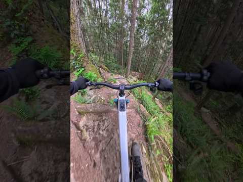 If a tree falls in the forest, you must ride it