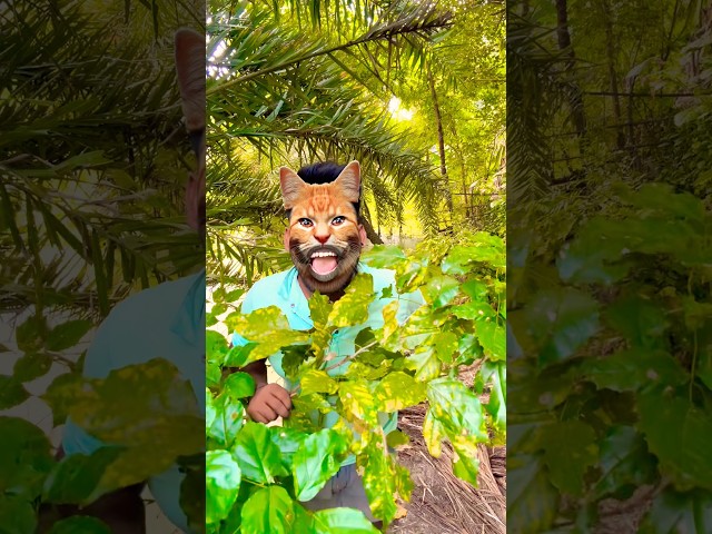 This cat is really alive!????????#funny #cats #catvideos #tiktok #social #usafunny #catlovers #funpage