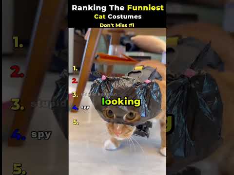 Ranking the Funniest Cat Costumes of All Time ???????? #catshorts #funny #cats #cutecats