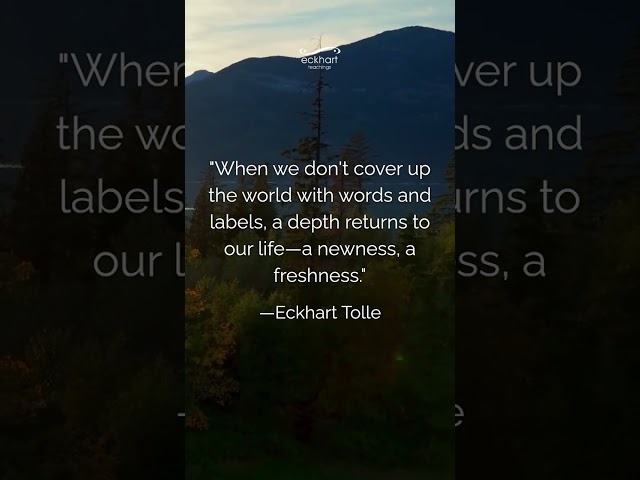 When we don't cover up the world with words and labels, a depth returns to our life—a newness...
