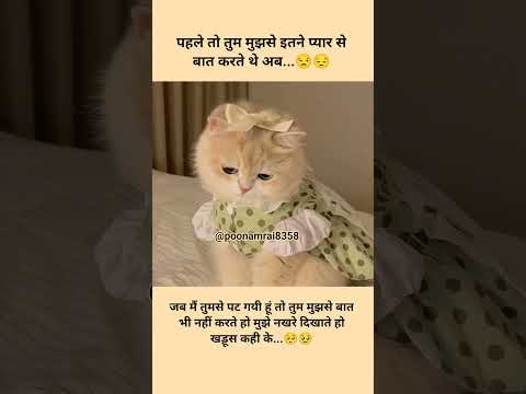 #पहले तो तुम मुझसे ???????????????? #funny #catvideos #shortvideo