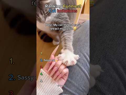 Ranking Funniest Cat Imitation #shorts #funnycatvideos