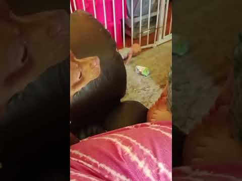 Funniest Baby Editions Caught on Camera part 2 #shorts #cutebaby #funnybabyvideos