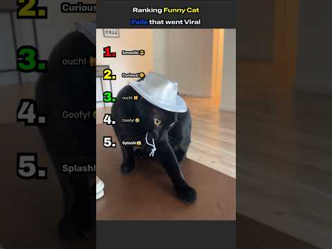 Ranking funny cat fails that went viral (wait for #1) #cat #funny