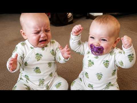 Top 100 Funniest Baby and Sibling Moments to Brighten Your Day ???? Funny Baby Videos
