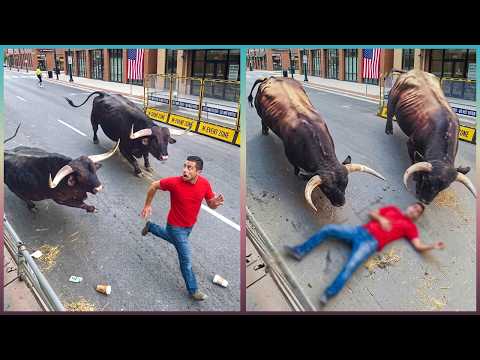 99 Most BRUTAL ANIMAL ATTACKS Caught on Camera