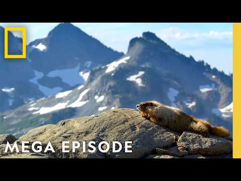 America 250 SPECIAL | America the Beautiful ft. Michael B. Jordan MEGA Episode | National Geographic