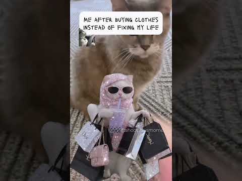 #catfunny #catvideos #funny #cute #pawsn #funnycats #funnycatvideos #funnyanimal #memesvideo