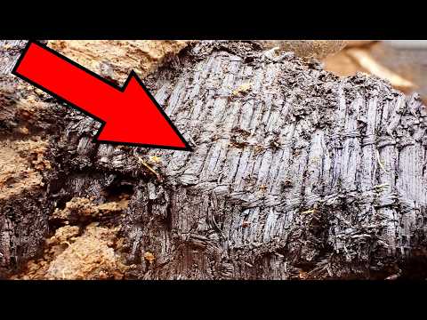 25 Most Amazing Ancient Artifacts Finds