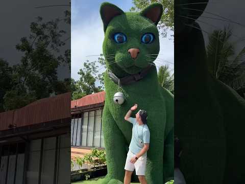 This cat is really alive! ???? #funny #cats #catvideos #tiktok #social #usafunny #catlovers #funpage#w9