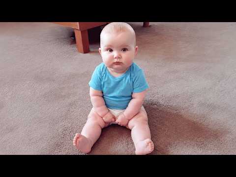 3 Minutes of Babies Doing the Funniest Things Ever!  Cute & Hilarious Moments - Funny babies and pet